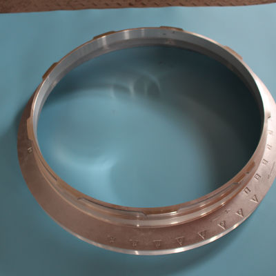 Customized Endrings Stork Repeat Reggiani Type Endrings Printing Machine Parts